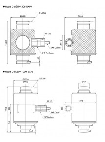 Load Cell CAS WBK