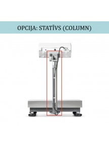 Basic Scales IOC